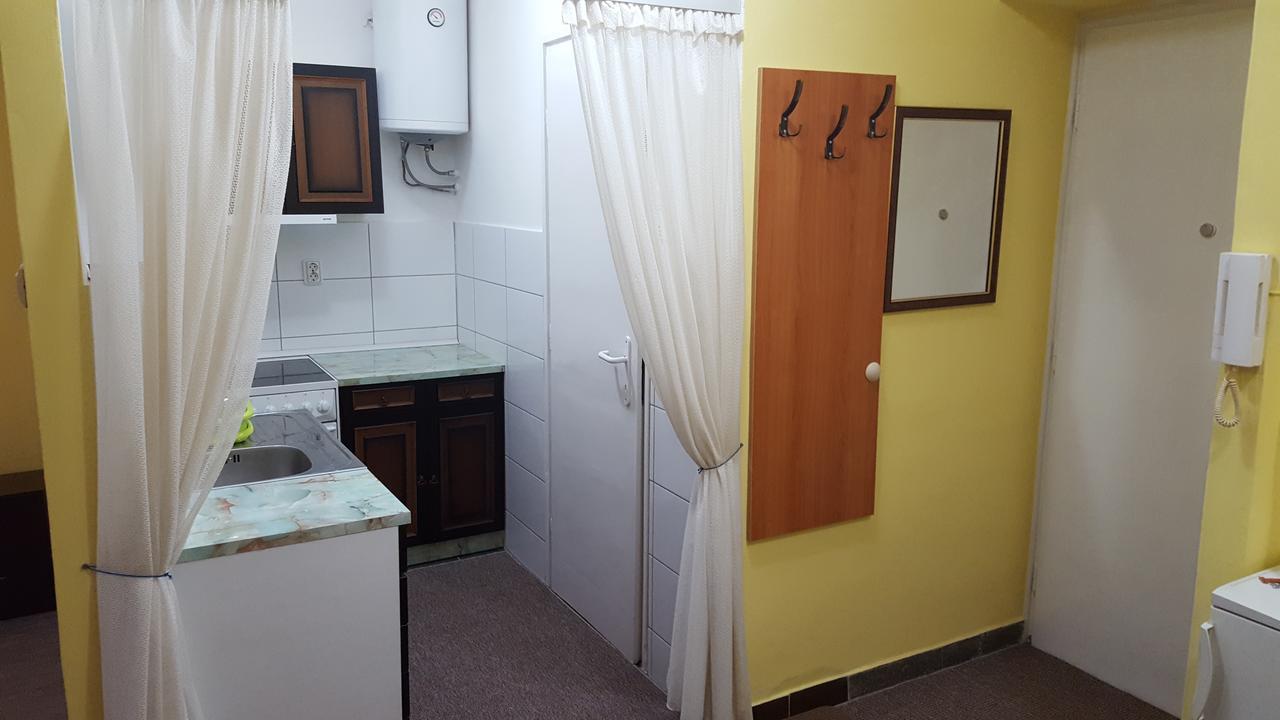 Apartment Roxana Centar Novi Sad Exterior foto